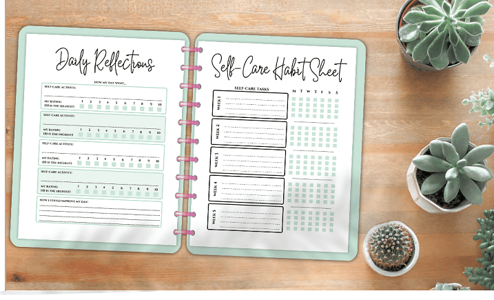 Quick-Start-PLR-Self-Care Planner Kit-Review-oto.